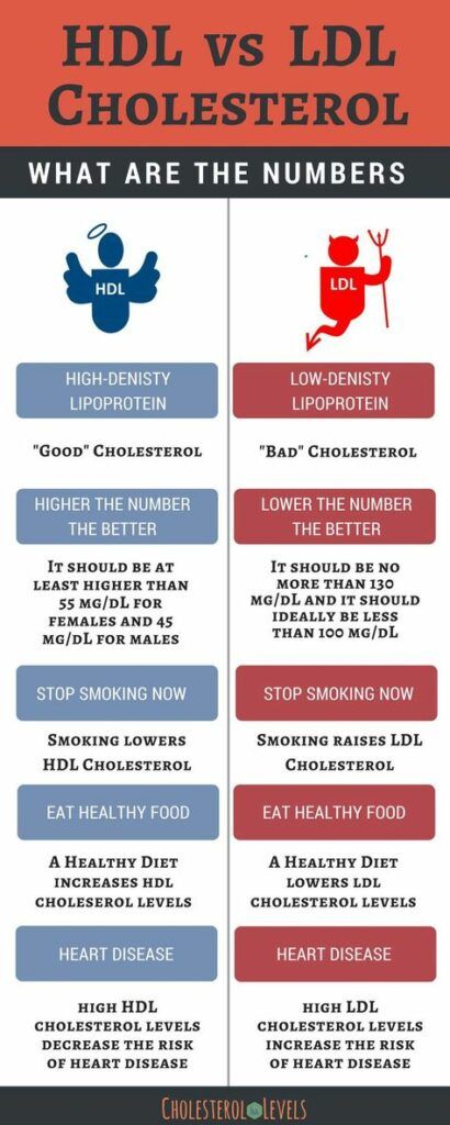 Good and Bad Cholesterol