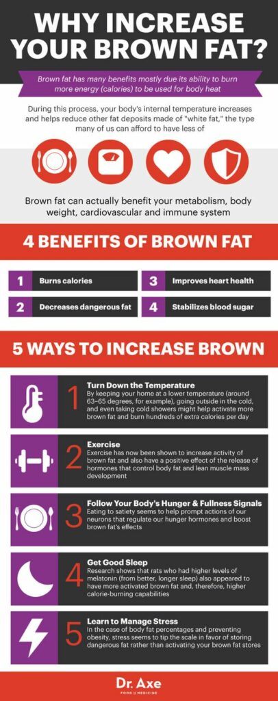 sLR11 Protein - Brown Fat Cells