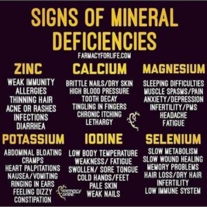 Minerals and the Body