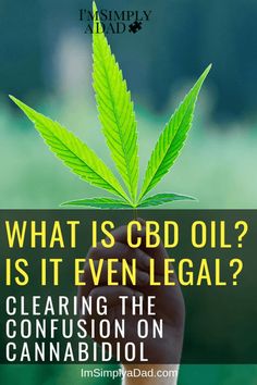 The Facts About CBD Oil