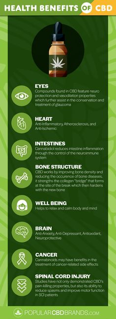 The Facts About CBD Oil