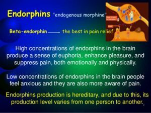 Facts about endorphines