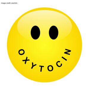 Facts about Oxytocin