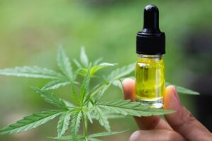 All about Hemp Oil