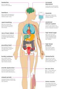 Stress: The Facts - The effects of stress