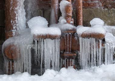 The Importance of Temperature - The effects of freezing temperatures