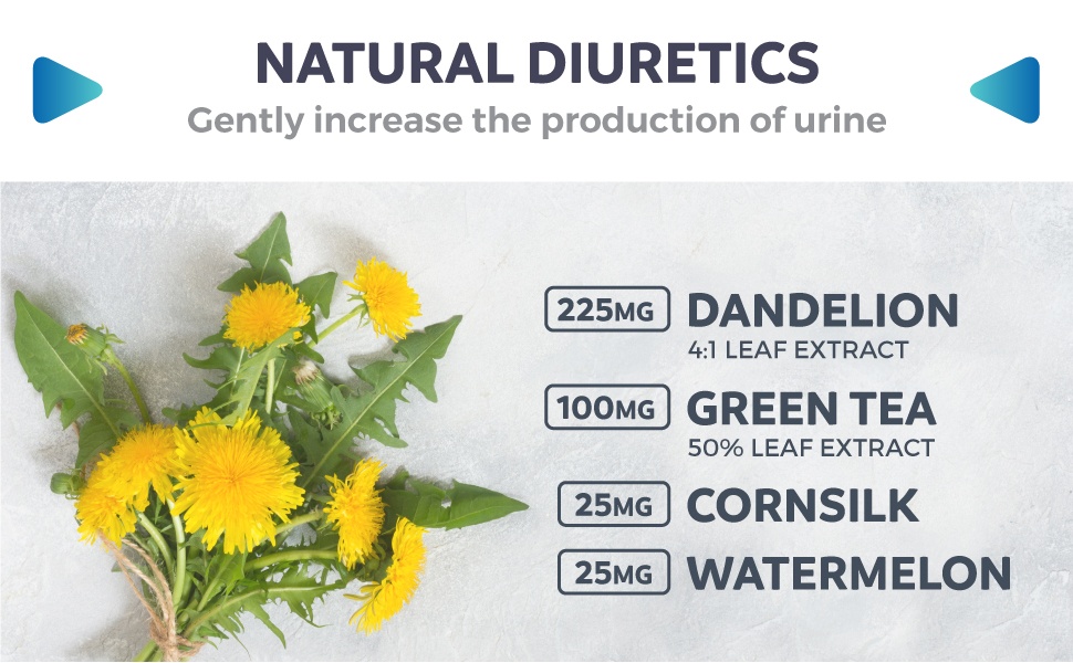 All about Diuretics - Natural Diuretics 