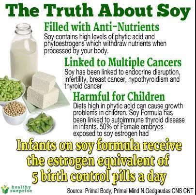 Soy: the good and the bad - The health concerns about soyrns