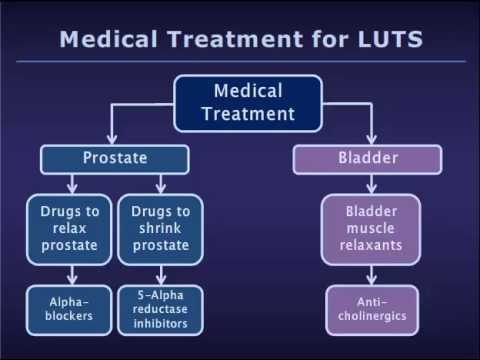 What is BPH About - BPH Treatment