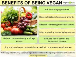 What is Vegan about? - Vegan Advantages