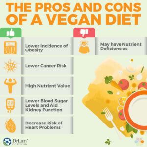 What is Vegan about? - egan Disadvantages